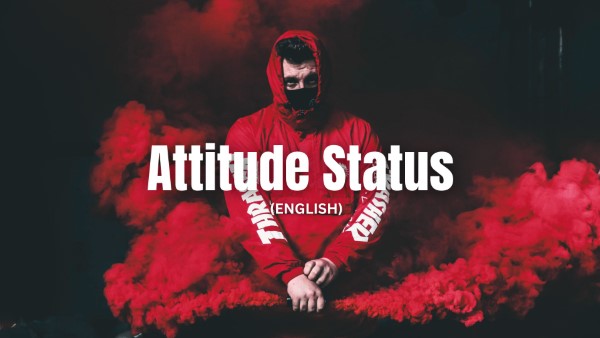 Attitude Status snt