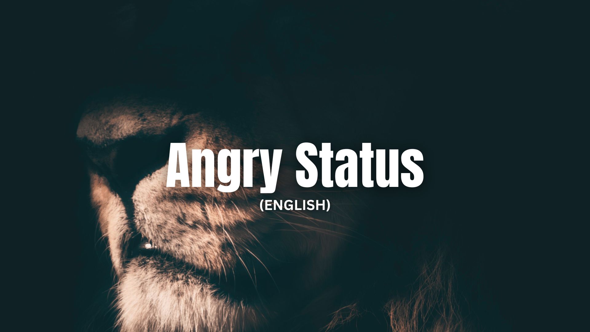 Angry Status in English