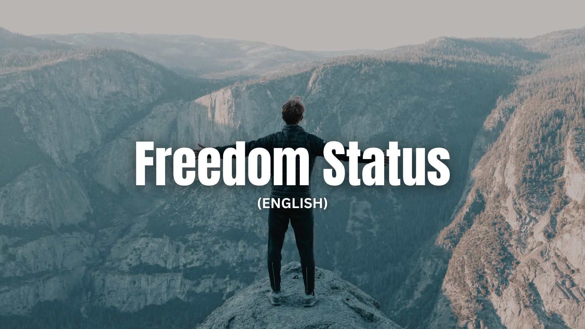 Freedom Status in English