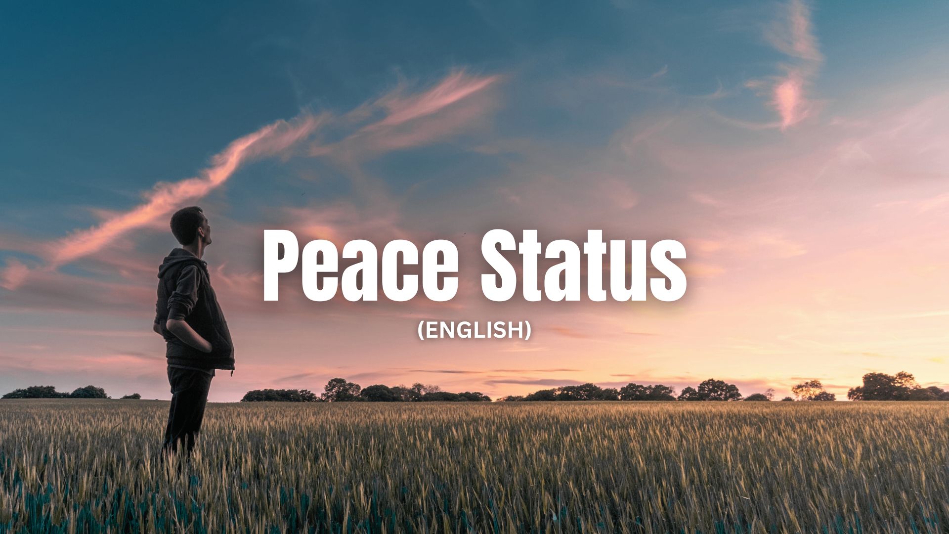 Peace Status in English